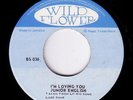 LOVERS ROCK - JUNIOR ENGLISH - I,M LOVING YOU  - LISTEN
