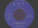 NORTHERN SOUL 45 AD-LIBS New York In The Dark A.G.P 100