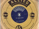 BLUESTARS: SOCIAL END PRODUCT Garage Punk Fuzz 45