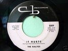 Doo Wop 45  The Rialtos It Hurts CB Records