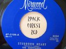 Northern Soul -THE  SHEPPARDS- Stubborn Heart   MIRWOOD
