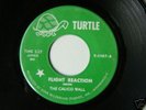 CALICO WALL Flight Reaction Turtle 45 PSYCH LISTEN