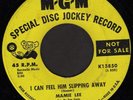Rare Northern Soul  45 - MAMIE LEE (MGM)