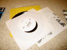 PAVEMENT Slay Tracks 7