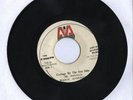 MICRON/COTTAGE BY THE SEA SIDE-MARIA ANDERSON [REGGAE]