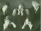 THE BYRDS Mr. Tambourine Man  RARE Picture Sleeve & 45