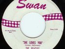 BEATLES-SHE LOVES YOU-45-SWAN RARE LABEL-VERY RARE-NICE