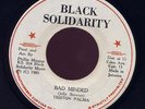 Tristan Palma Bad Minded rare JA roots 45 Listen