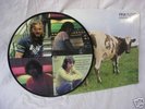 Pink Floyd / Atom Heart mother / Picture disc mint/rare