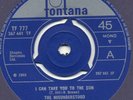 THE MISUNDERSTOOD*I CAN TAKE YOU TO THE SUN*PSYCH*45