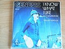GENESIS - I Know What I Like (7