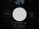 THE SENSATIONS WILD LOVE SOMEBODY,  LOVE SOMEONE