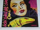DAVID RIONDINO LP - ANGELO BRANDUARDI ANDREA PAZIENZA