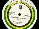 Diana - When Music Hits You / Oak Sound Discoplate