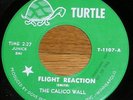 Rare 1967 MN Psych 45 THE CALICO WALL - Turtle 1107