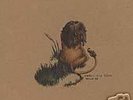 PEDRO THE LION : WHOLE EP: 10