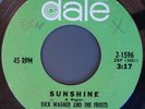 DICK WAGNER & FROSTS SUNSHINE RARE GARAGE PSYCH 45 HEAR