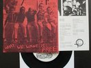 ARTICLES OF FAITH 1st 7” HC classic ‘What We Want' 1982