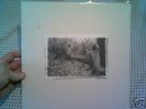 Sunn White Box 4xLP Complete Earth Boris Mint