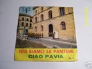 RARITA'  - GIANNI MORANDI - NOI SIAMO LE PANTERE