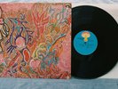 FLUTE AND VOICE, S/T ORIG PROG PSYCH KRAUTROCK LP