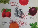 CREAM *AUTOGRAPHED Best Of Cream ALBUM* ERIC CLAPTON