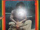 ERROL HOLT - ROOTS RADICS DUB LP