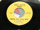 Soul 45 Skip Jackson & The Shantons on Dot-Mar Pomise