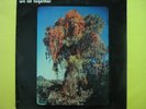 PSYCH WE ALL TOGETHER LP VISIT CACHADISCOS & PERUJEWELS