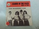 SHANGRI LAS  LEADER OF THE PACK  GIRLGROUP