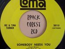 Northern Soul - IKE & TINA TURNER - Somebody Needs You