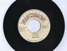 PRICISION/COOL IT - BERIS BRADLEY [ROOTS REGGAE] 7