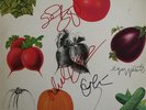 CREAM *AUTOGRAPHED Best Of Cream ALBUM* ERIC CLAPTON