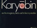 KARYOBIN    SPONTANEOUS MUSIC ENSEMBLE RARE LP