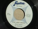 THE PENETRATERS What Went Wrong GARAGE PSYCH 45 -LISTEN