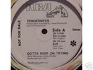 Tenderness..Gotta Keep on Trying..Rare disco on RCA