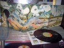 GARYBALDI Nuda Lp great ITA Psych Prog Gimmik Orig CGD
