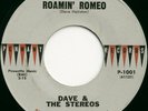 RARE TEEN DOO-WOP - DAVE & STEREOS - ROMIN' ROMEO -HEAR