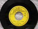 ELMORE JAMES Believe My Time Aint Long ACE orig blues45