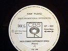 PINK FLOYD PIGS 7