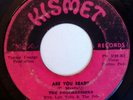 PROGRESSIONS ARE YOU READY 45 ON KISMET RARE JAMAICA