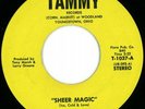 Ice-Cold-Love Rare Ohio Soul 45 on Tammy