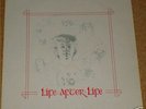 Life After Life - S/T, UK private folk rock rarity