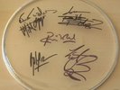 THE ROLLING STONES autographed signed DRUM SKIN w/COA