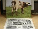 PINK FLOYD - ATOM HEART MOTHER - ORIGINAL UK HARVEST LP