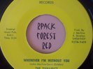 THE DYNAMICS  -Whenever I'm Without You  - TOP TEN   45
