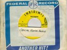 AUDREY ROLLIN-MAD LOVER-INBIDIMTS-MINT RARE-REGGAE 45