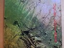 UGLY CUSTARD - UK PSYCH Kaleidoscope KAL 100 