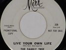 THE FAMILY TREE Prince Of Dreams 1966 GARAGE PSYCH 45