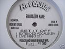 BIG DADDY KANE - SET IT OFF #481 OF 500  LTD RELEASE 